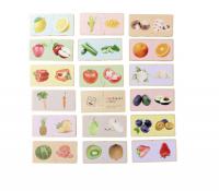 Montessori Puzzle ovoce a zelenina